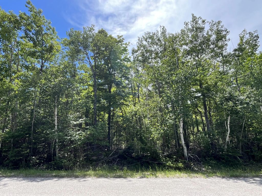 77 & 78 Renwick Circle, Presque Isle