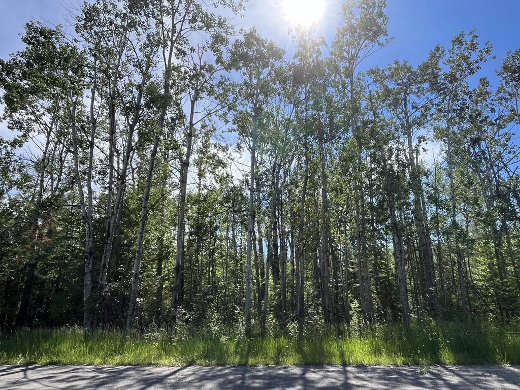 Lot 312 Pineview Drive, Presque Isle