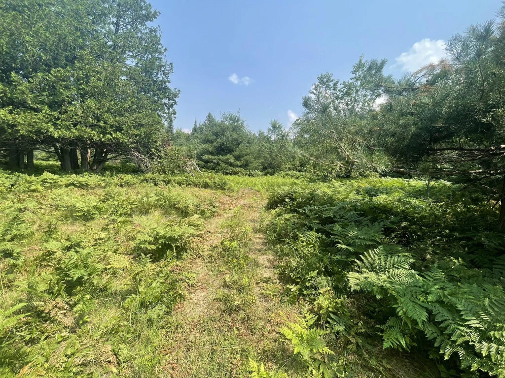 V/l Reams Road 40 Acres, Indian River