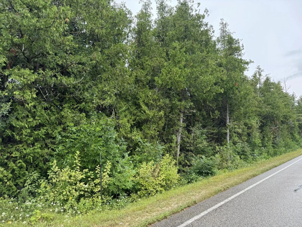 Lot 4 Pte La Barbe Road, St. Ignace