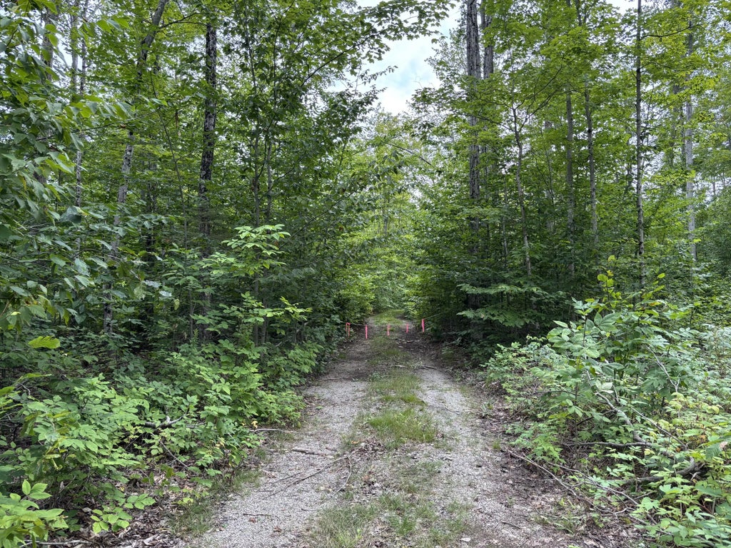 Nhn Misiak Highway 81.55 Acres, Presque Isle