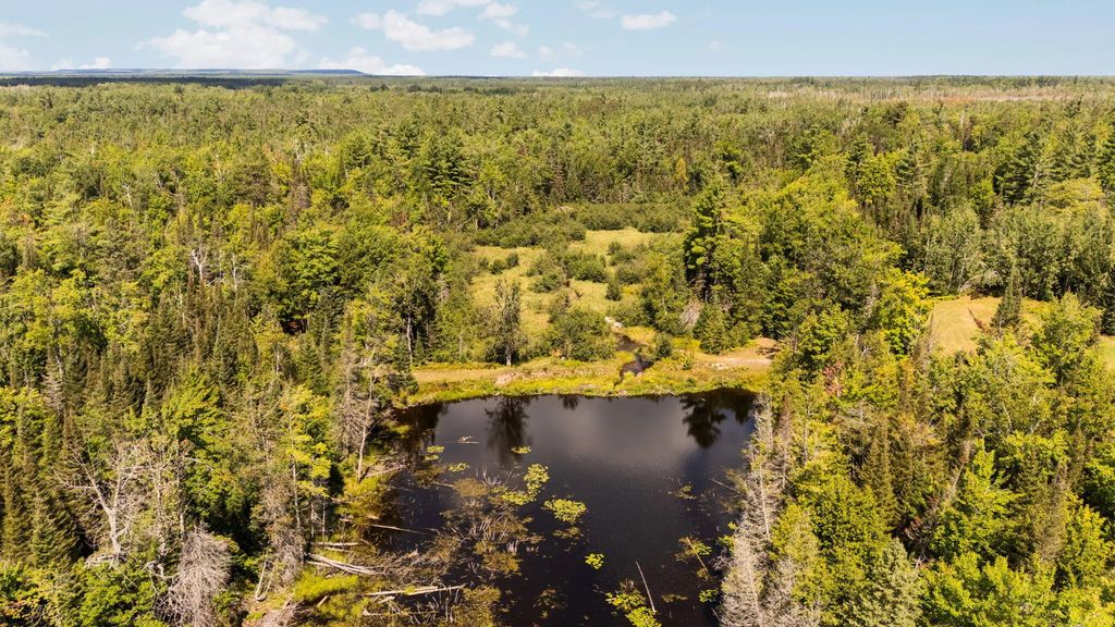 3265 Roost Road, Onaway