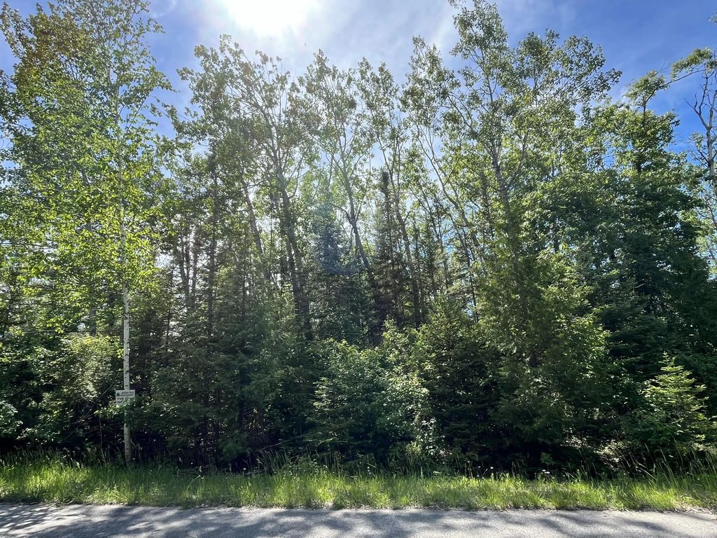 Lot 217 Shoreham Court, Presque Isle