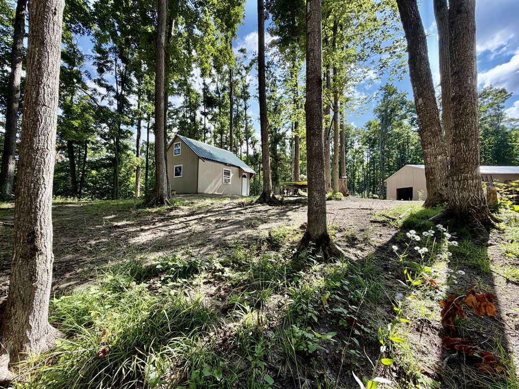10.08 Ac N Watkins Drive, Frederic