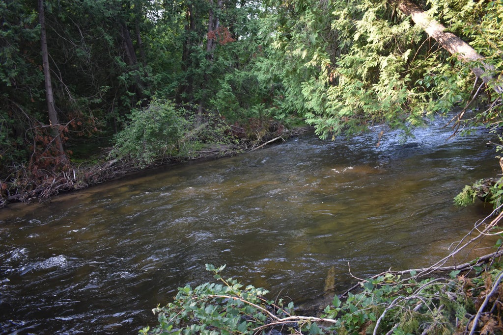 8993 S Straits Highway Parcels A And D, Wolverine