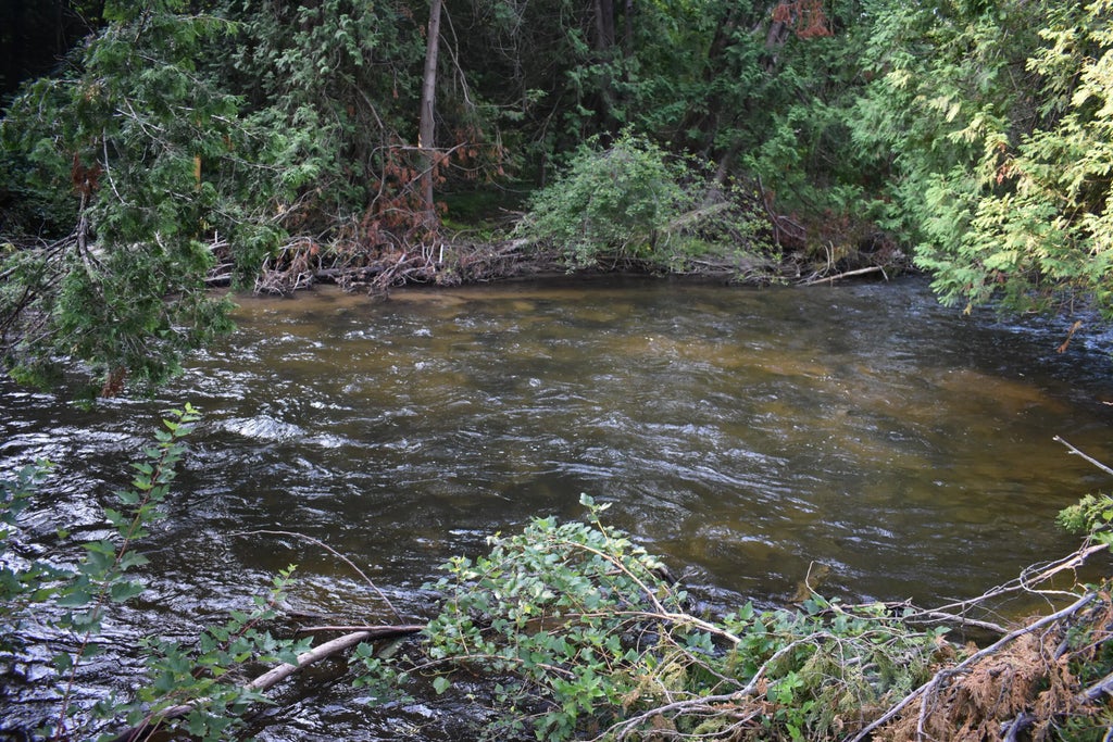 8993 S Straits Highway Parcels A, B, C, D, Wolverine