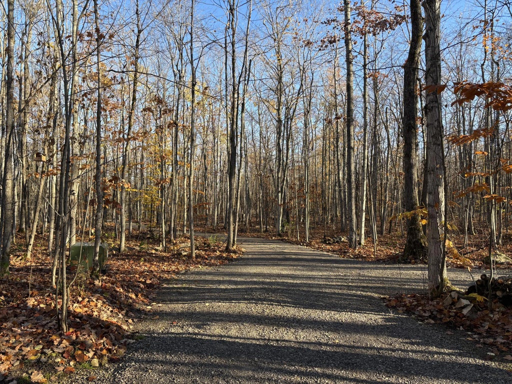 19649 N Allis Highway, Onaway