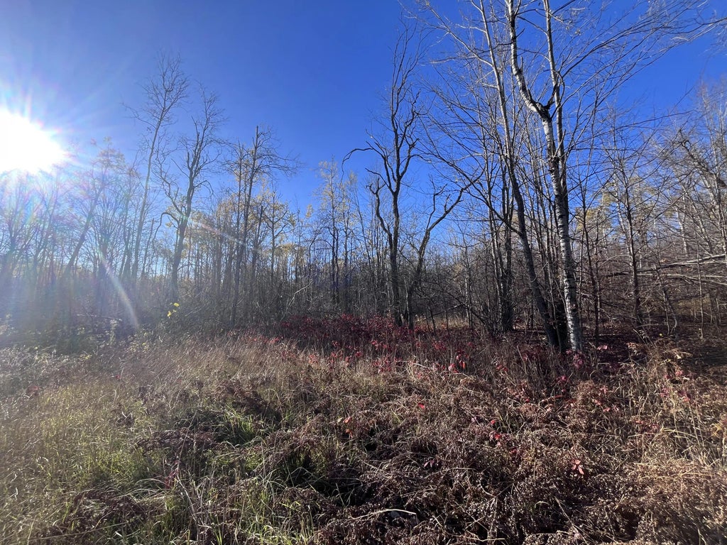 34 Misty Court, Mancelona