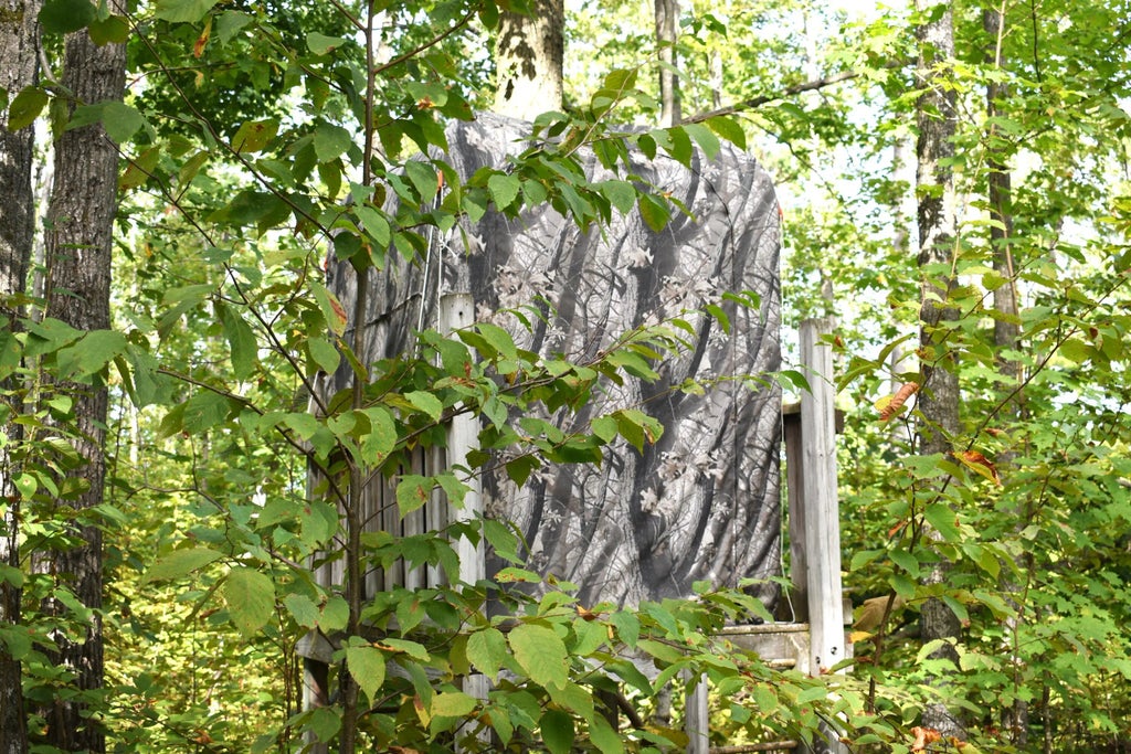 V/l 13ac Brudy Road 13 Acres, Wolverine