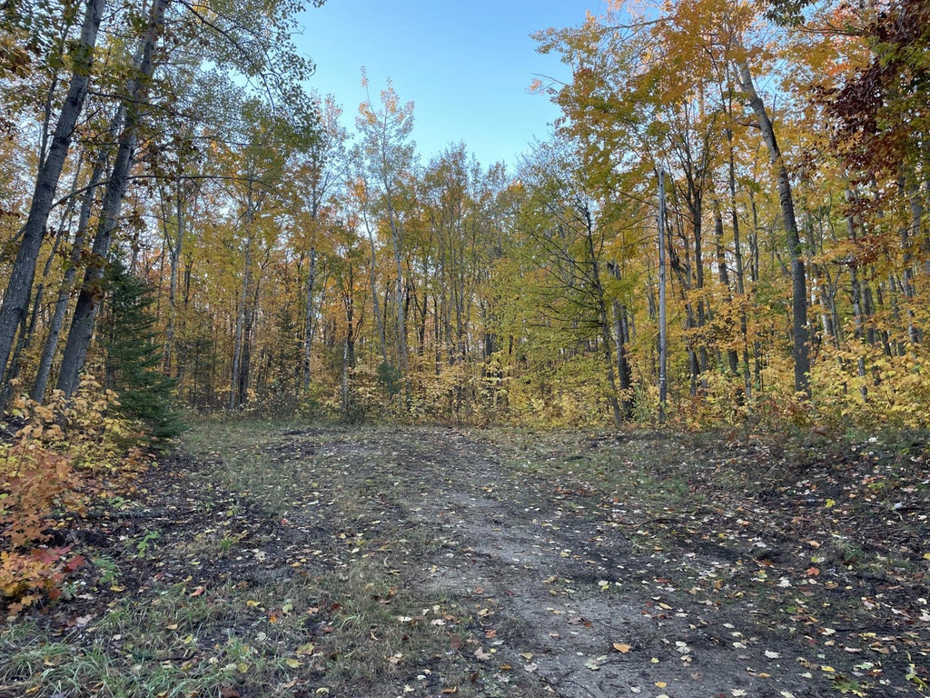 14281 Sandown Court Lots 268 & 269, Cheboygan