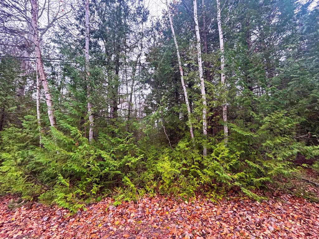 Lot 14 E Grand Lake Road, Presque Isle