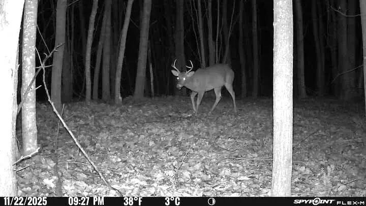 4100 Long Lake Road, Cheboygan