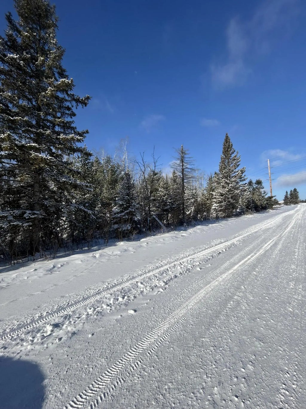 V/l 33.60a S County Line Road 33.60 Acres, Onaway