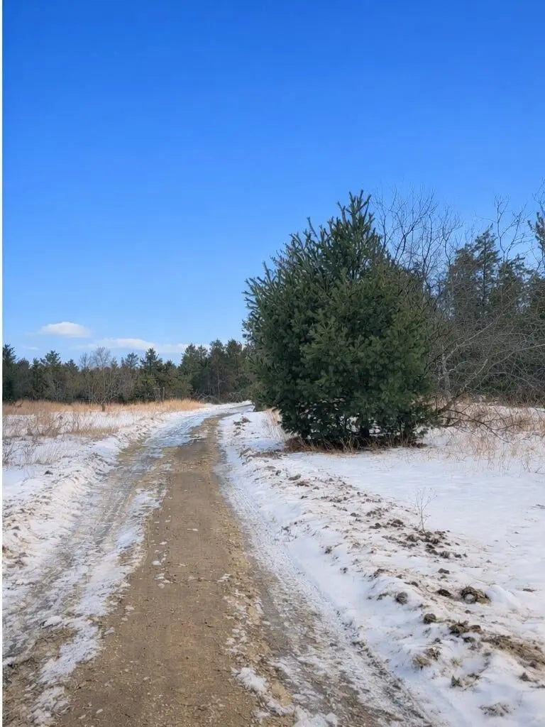 Parcel 3 Sturgis Road 002-018-000-280-03, Atlanta