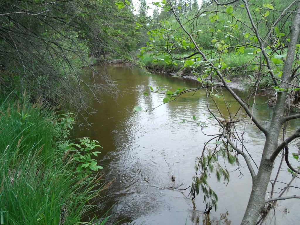 V/l Par 18 Spikehorn Trail Parcel 18, Indian River