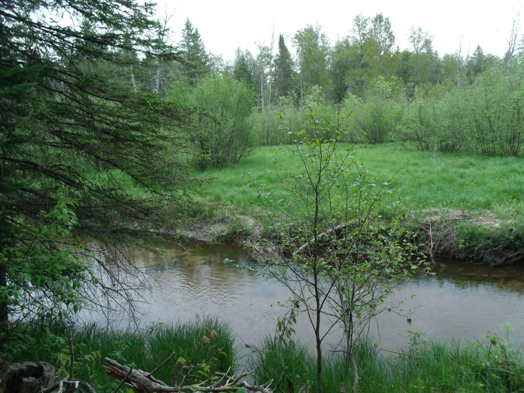 V/l 30 Ac Spikehorn Trail Parcels 16, 17 & 18, 30 Acres, Indian River