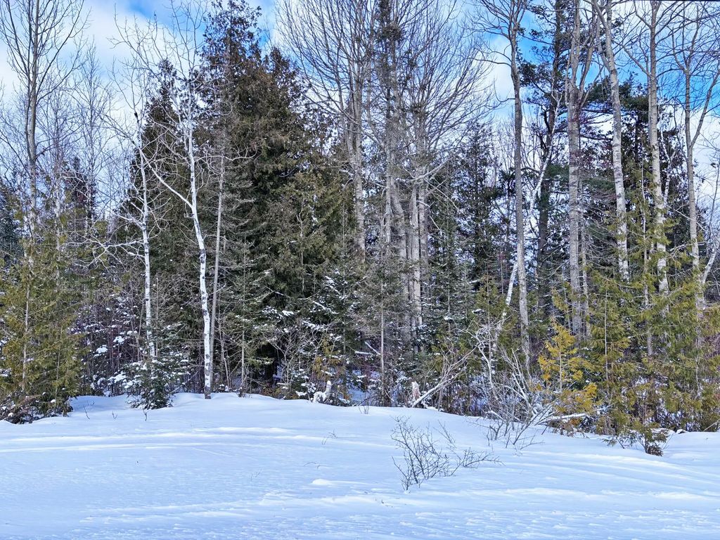 Lot 148 E County Road 638, Presque Isle