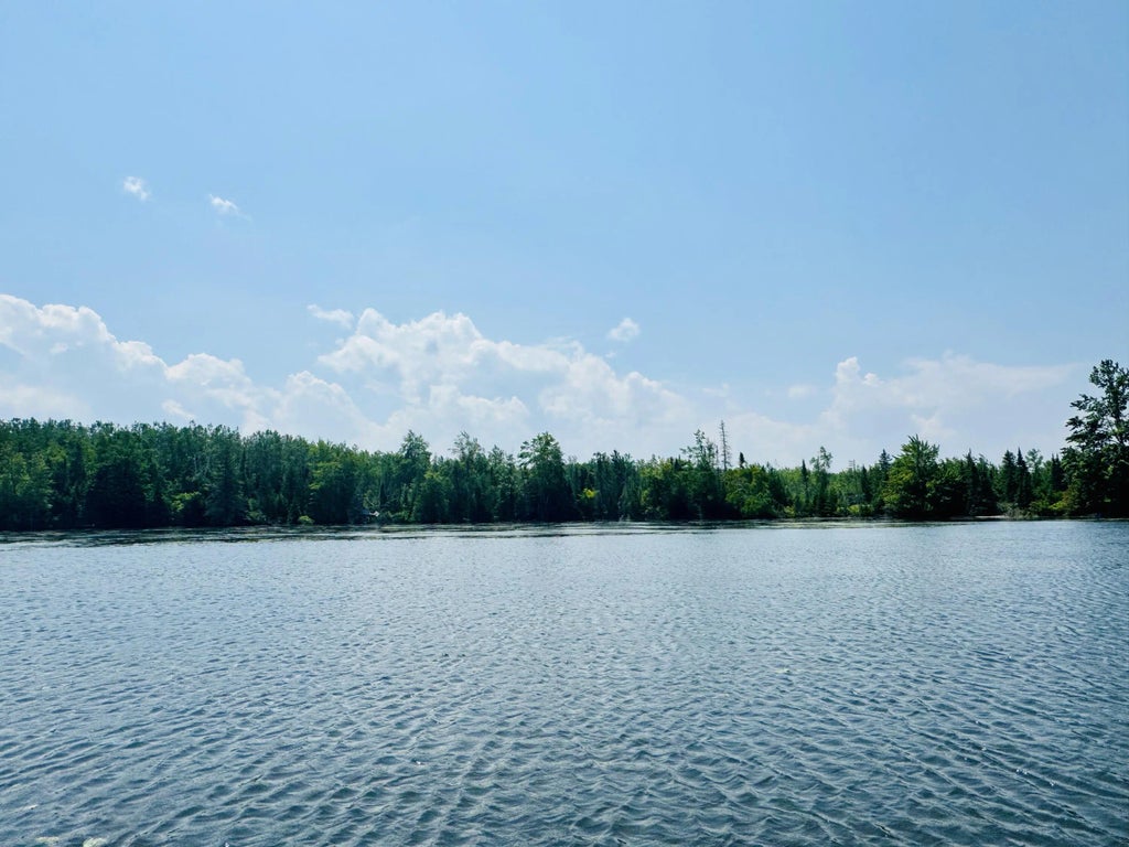 6378 Macey Lane 22.4 Acres, Alpena