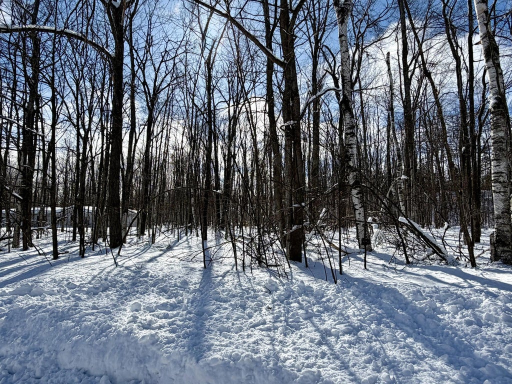 L 683-684 Cedarhurst Drive Lots 683 & 684, Cheboygan