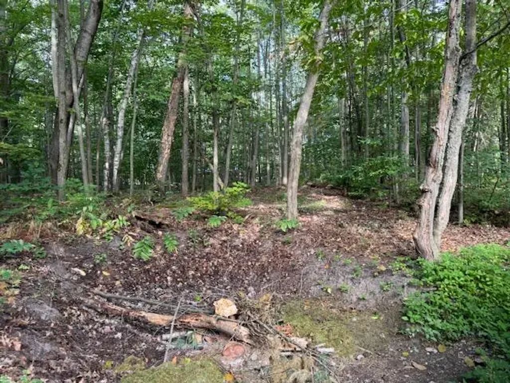 Lot 3 S Perch Lake Drive, Gaylord