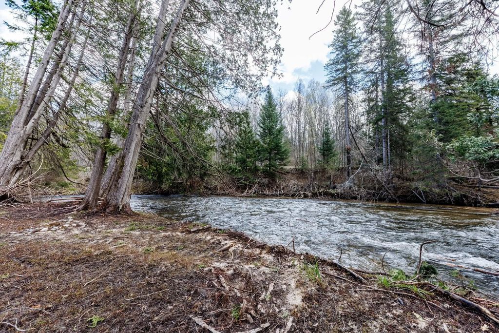 8993 S Straits Highway Parcel D, Wolverine
