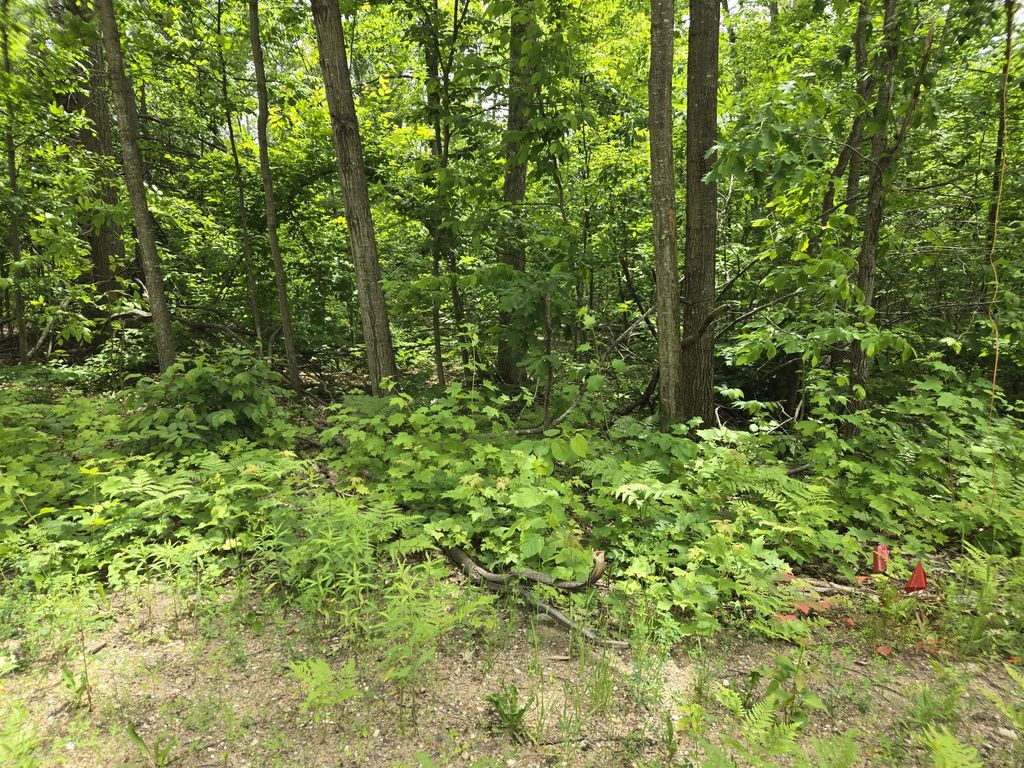 Lot 63 Sugarbush Drive, Gaylord