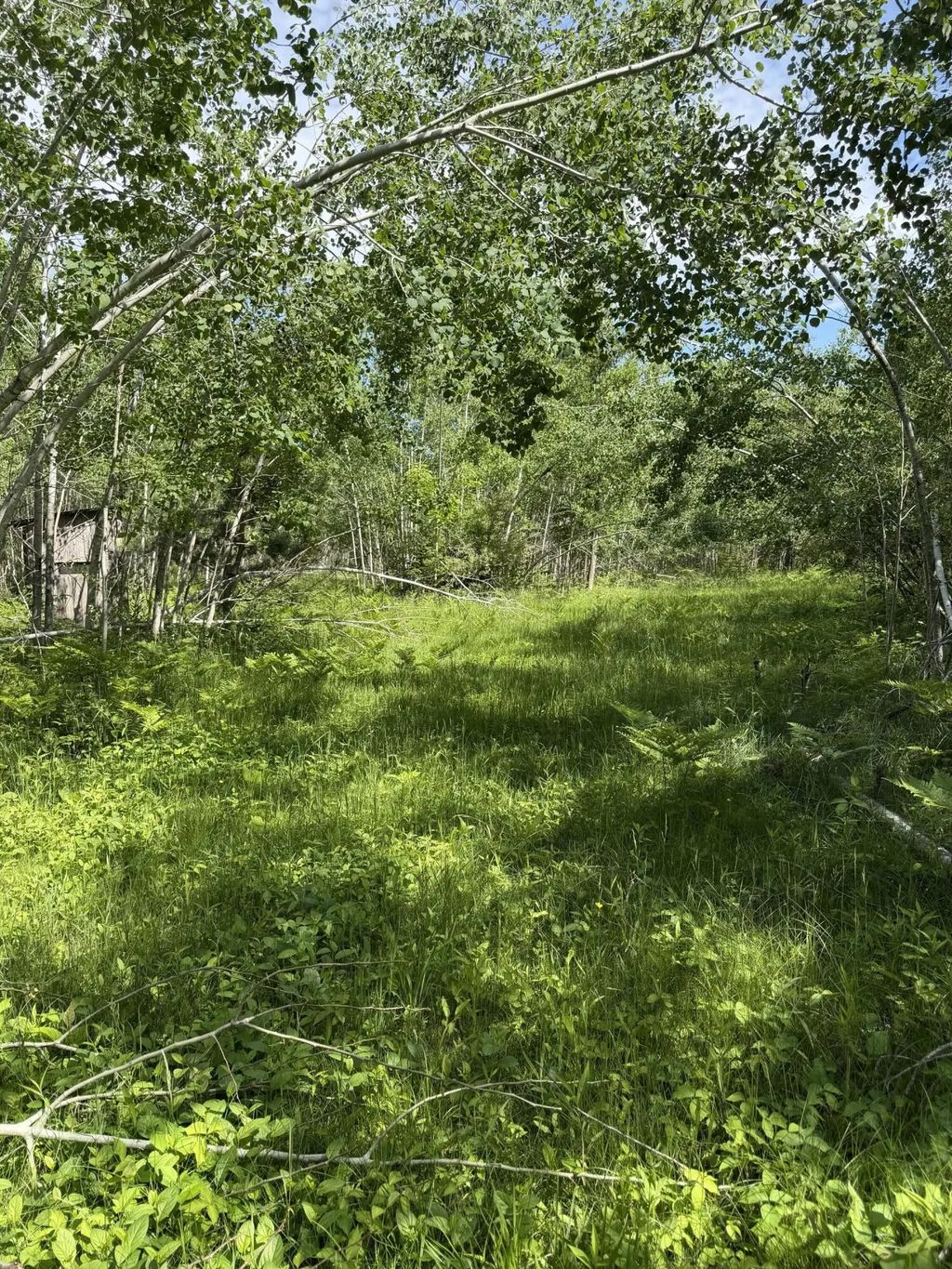 V/l 39.34a N Hubbard Lake, Hubbard Lake
