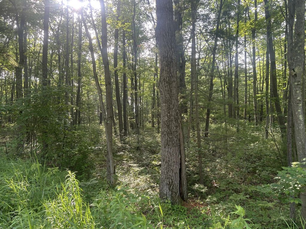 V/l Lot 15 South Ellen Drive, Harrisville