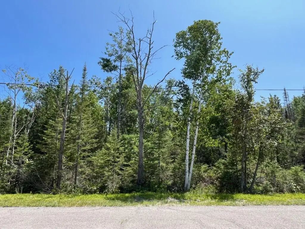 L 130-131 Laurelhill Circle Lots 130-131, Presque Isle