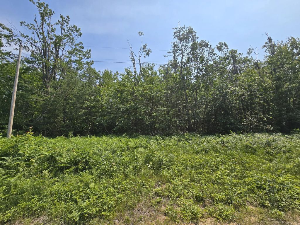 2.51 Ac Iroquois Trail 2.51 Acres, Gaylord