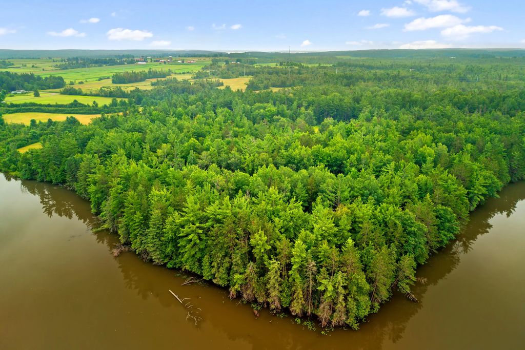 26 Ac Connon Road 26 Acres, Hillman
