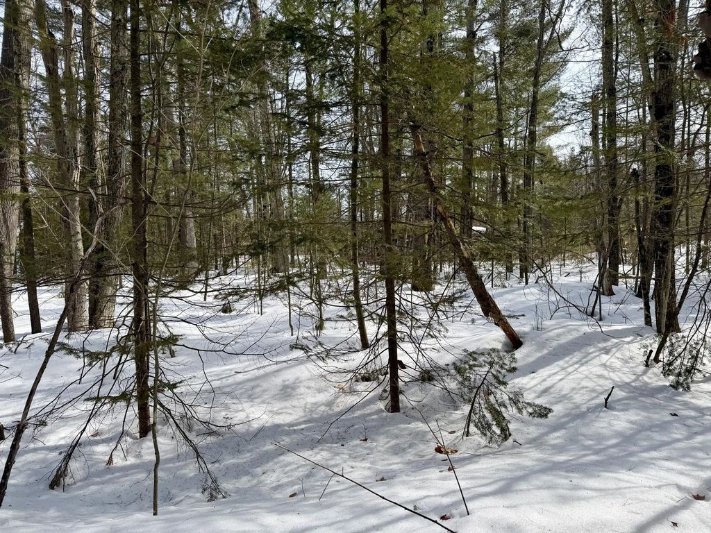 4962 Chamberlain Road, Cheboygan