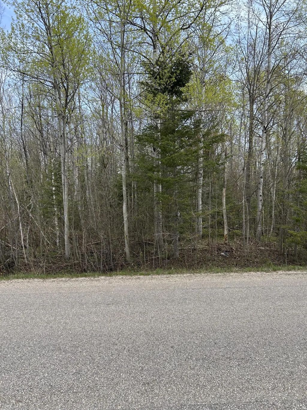 13728 N Mackinaw Highway 2.5+- Ac, Mackinaw City