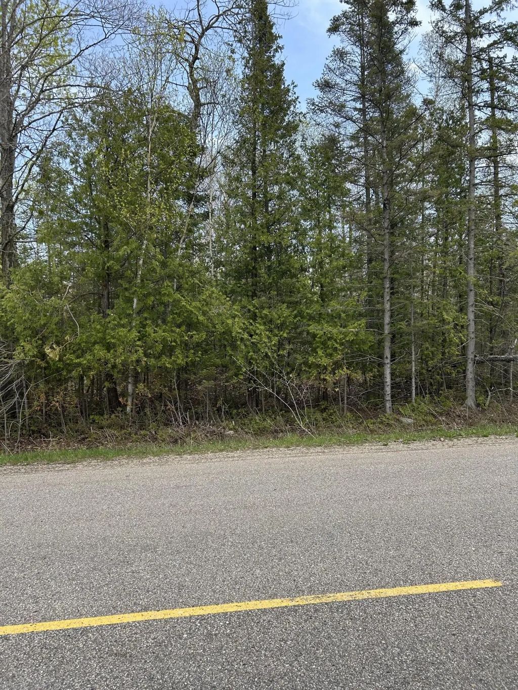 13792 N Mackinaw Highway 2.5+-ac, Mackinaw City