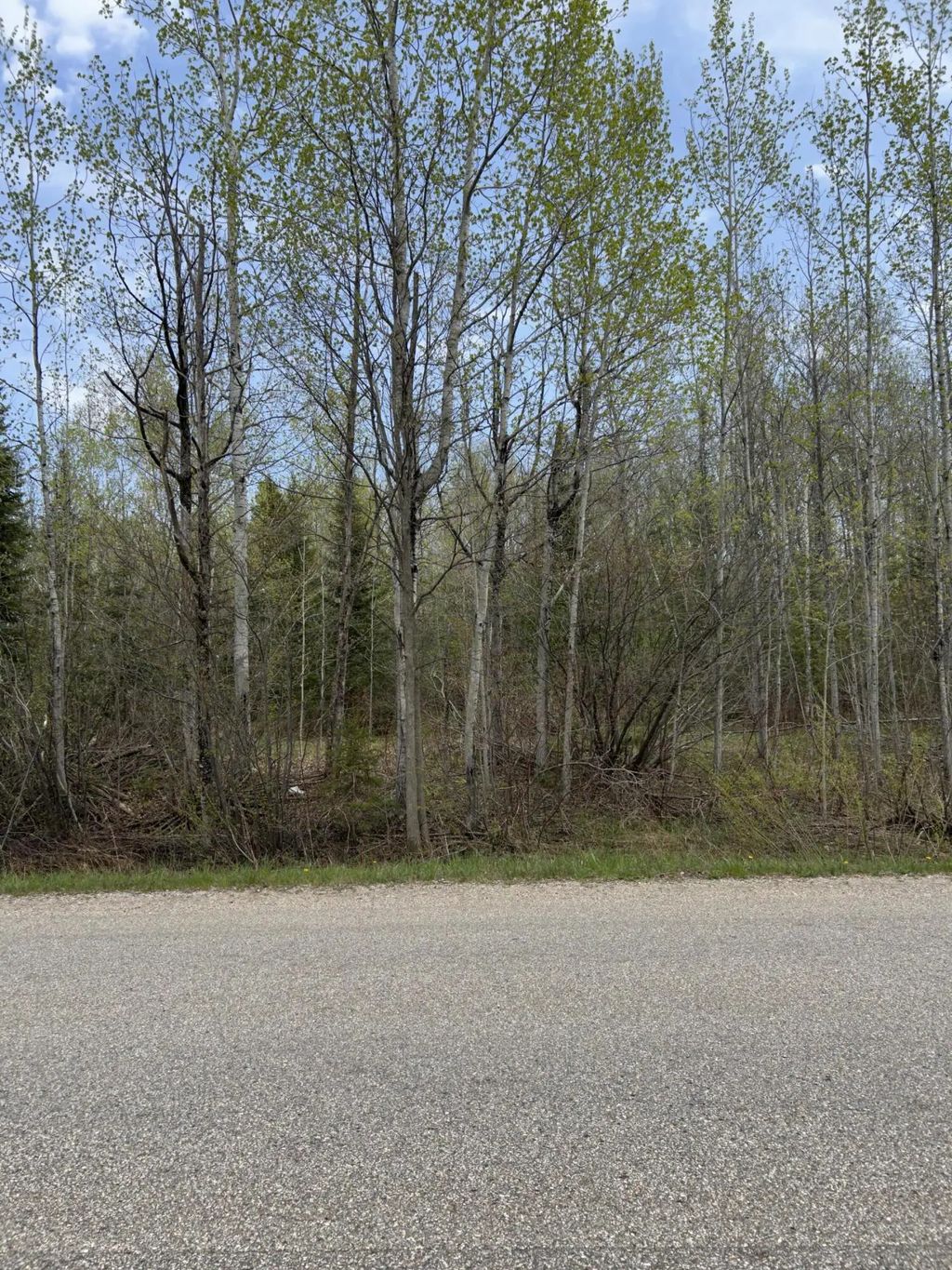 13764 N Mackinaw Highway 2.5+-ac, Mackinaw City