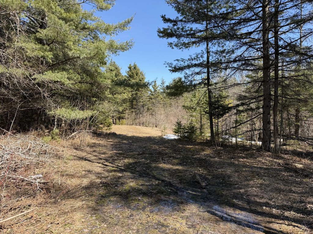 18.83 Ac M32 W 18.83 Acres, Alpena