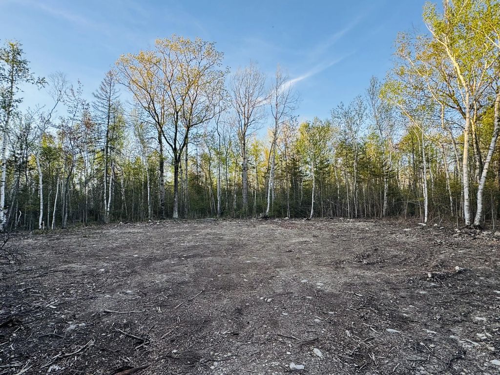 Lot 195 Kauffman Road, Presque Isle