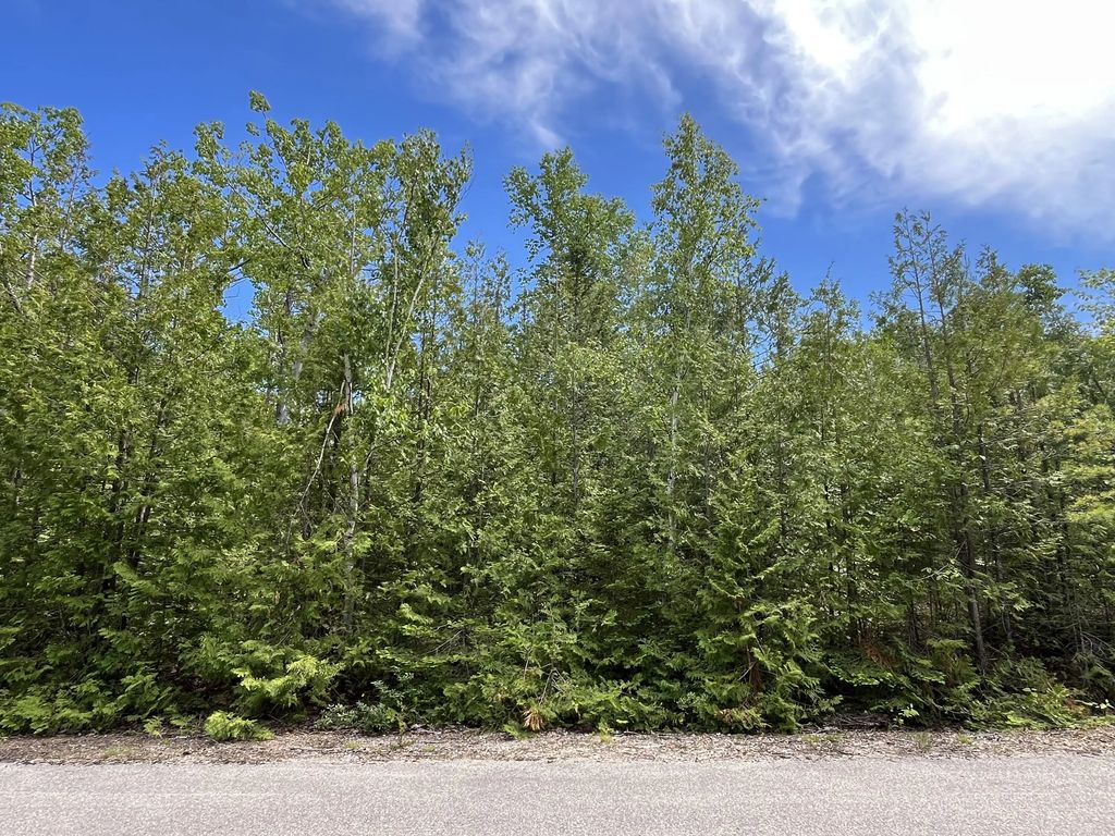 L 212-213 Shoreham Court, Presque Isle