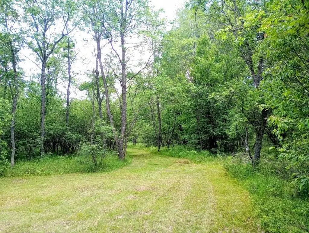 11858 4 Point Road, Fife Lake
