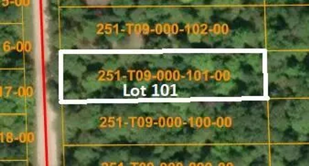 16253 Timberline Drive Lot 101, Wolverine