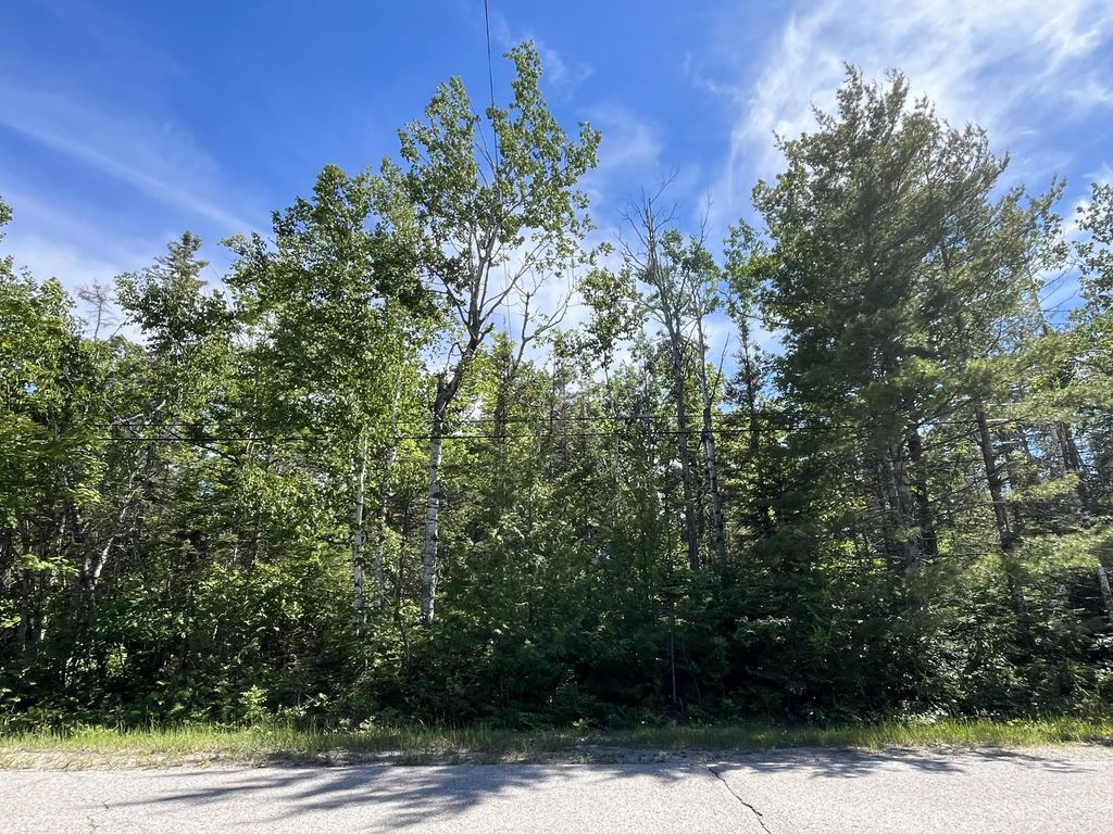 Lot 310 Kauffman Road, Presque Isle