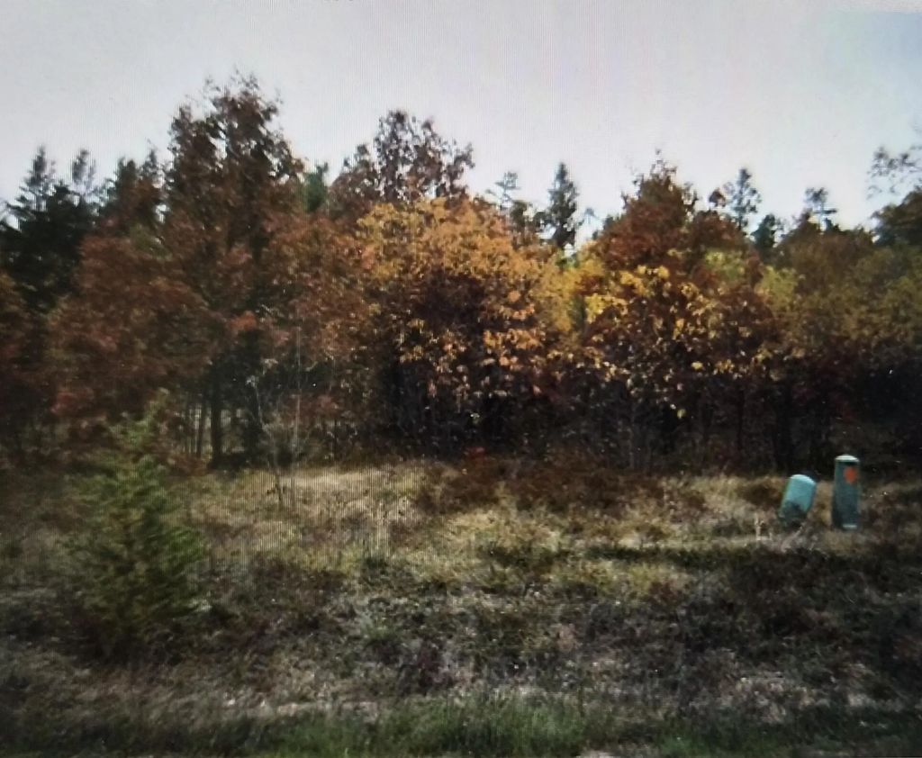Lot 6 Northwood Drive, Grayling