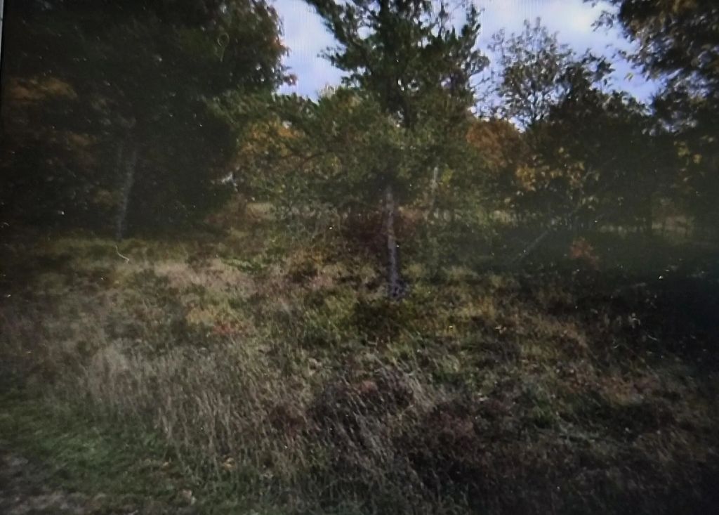 Lot 7 Northwood Drive, Grayling