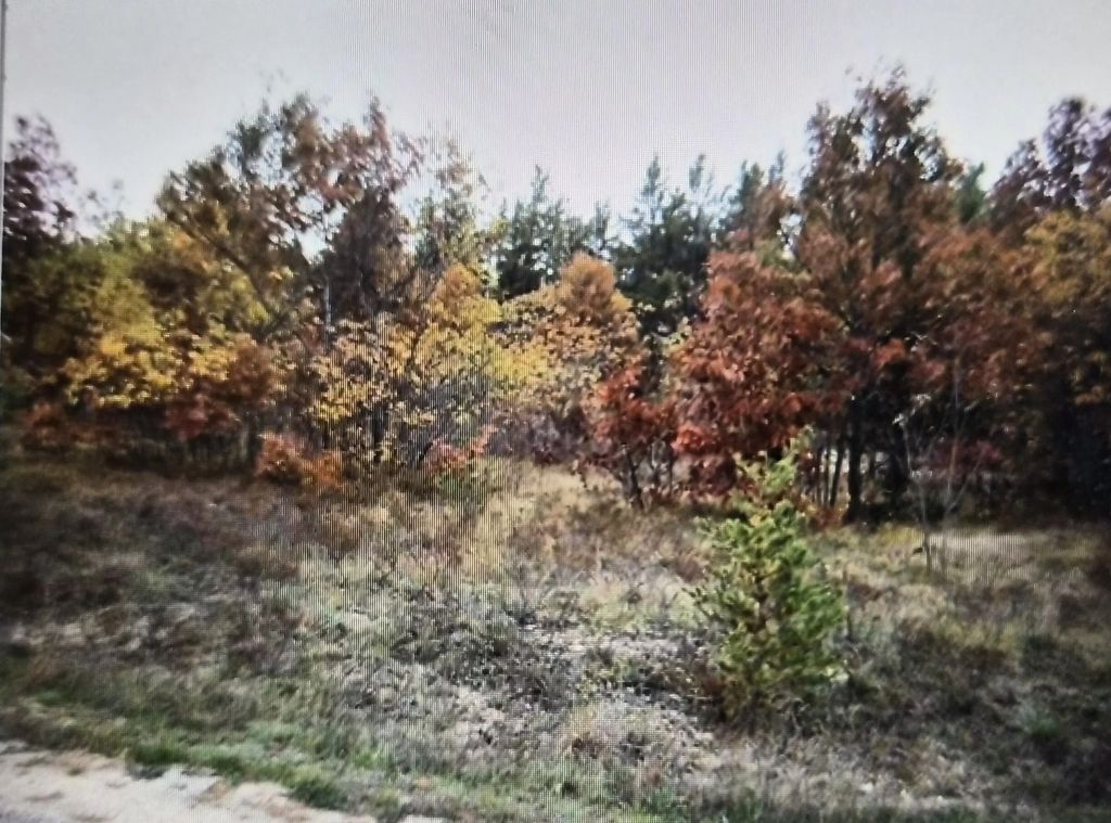 Lot 8 Northwood Drive, Grayling