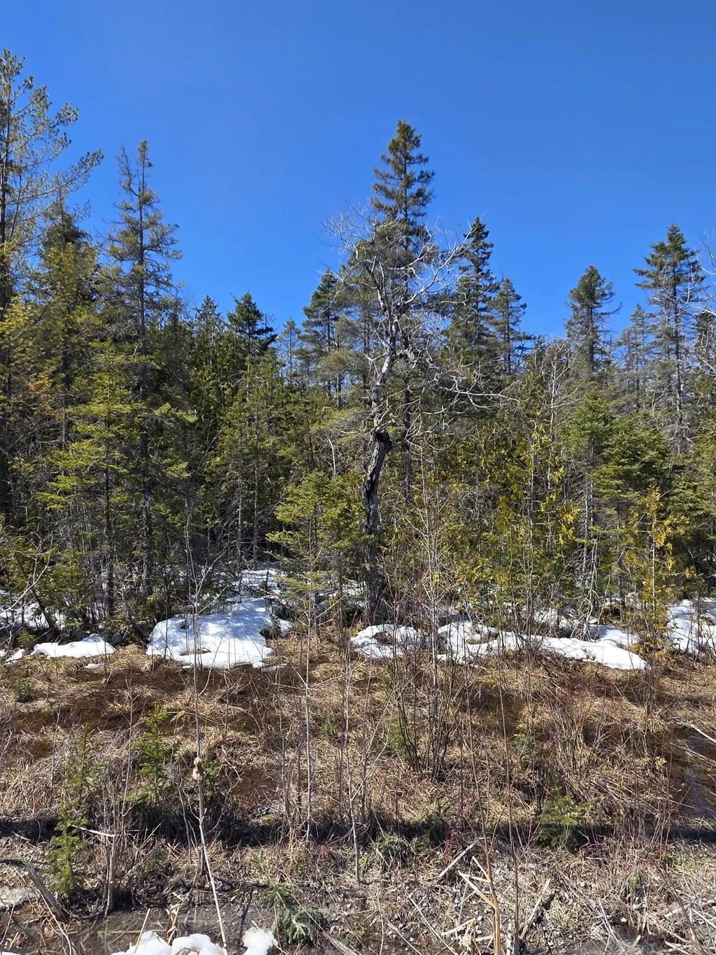 245 Winyah Drive, Alpena