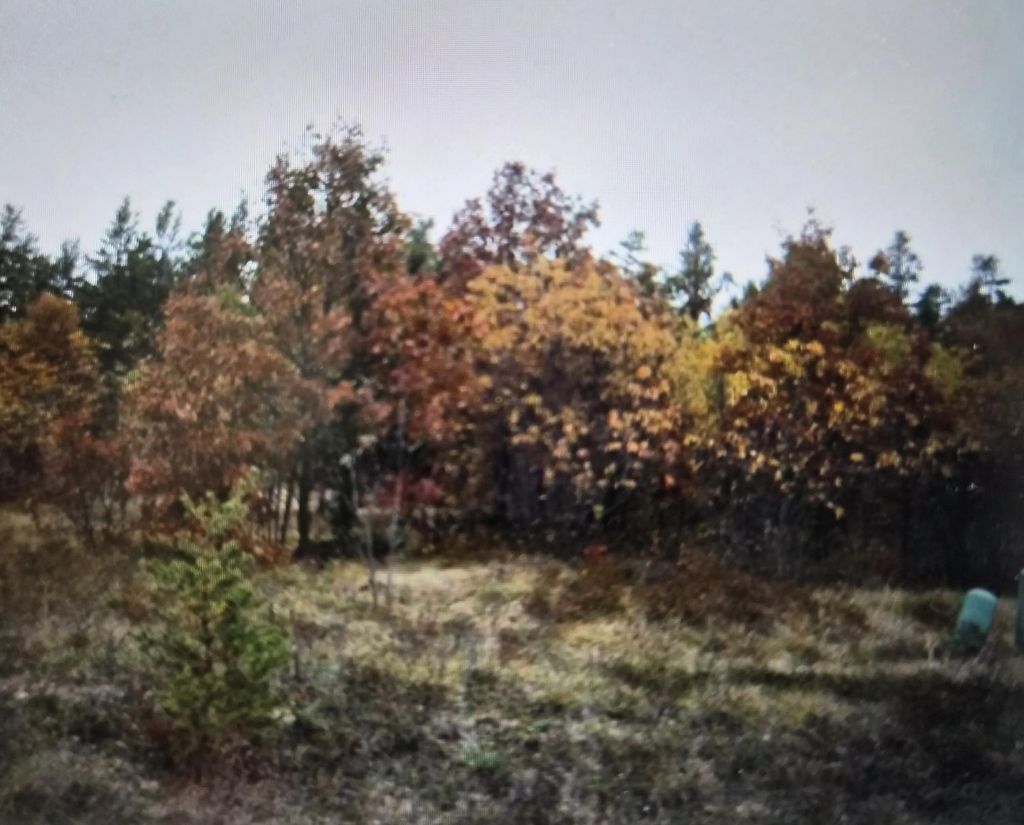 Lot 9 Northwood Drive, Grayling
