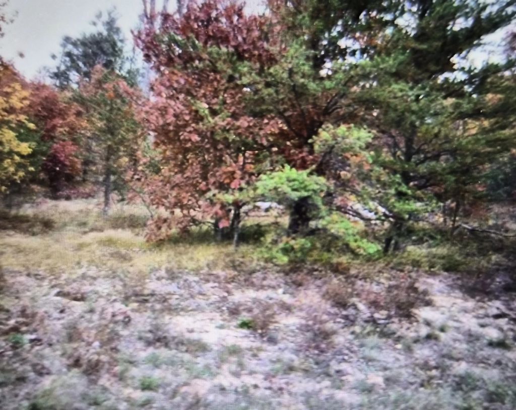 Lot 10 Northwood Drive, Grayling