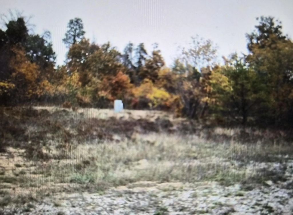 Lot 12 Northwood Drive, Grayling