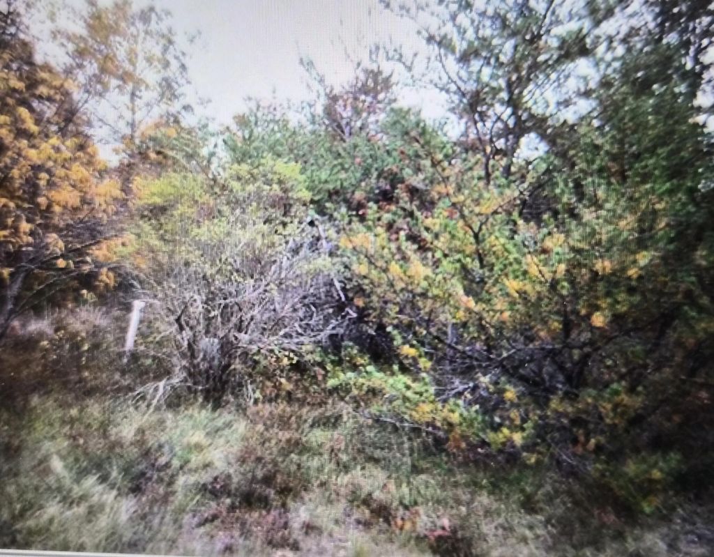 Lot 13 Northwood Drive, Grayling
