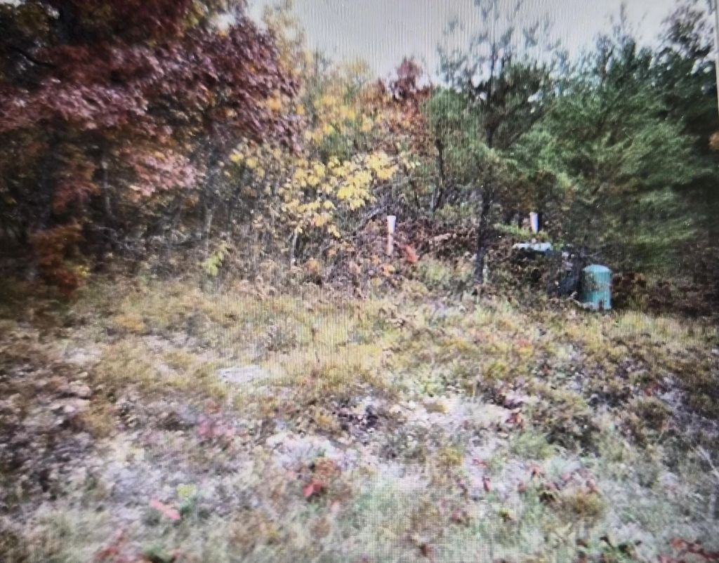 Lot 15 Northwood Drive, Grayling